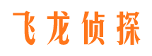 任县市婚外情取证